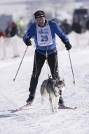 Lenk 2013